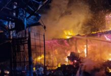 В Одесской области горели дом и сухая трава: погибла пожилая женщина