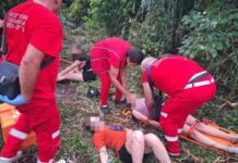 В Одесской области дерево упало на палатку с подростками: есть погибший и пострадавшие